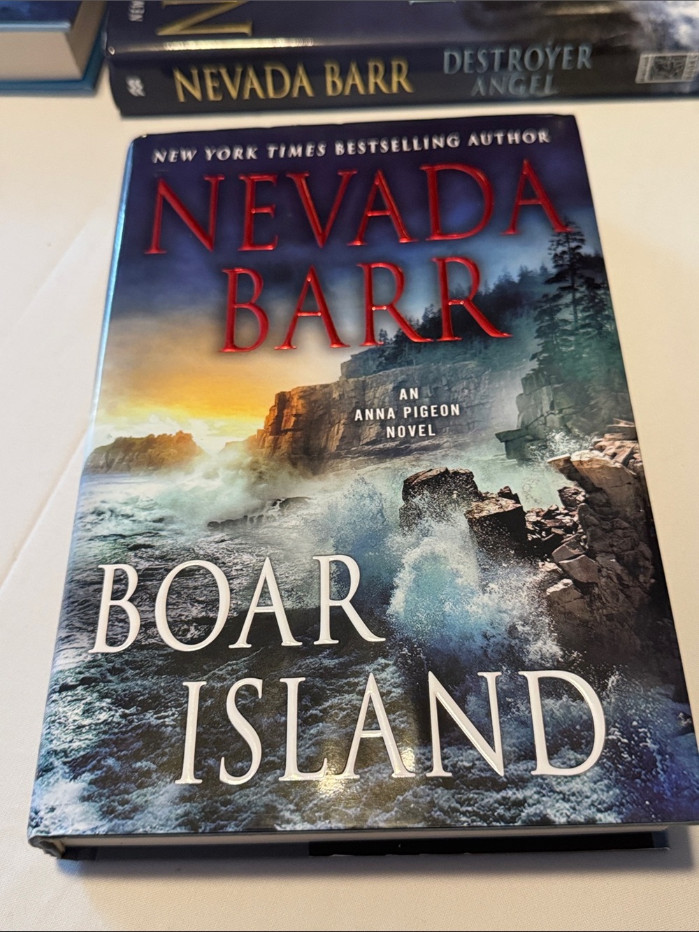 Boar Island Hardcover Book - Blue Ocean Cover